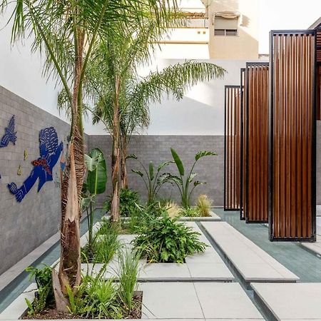 雅典 The Newel Psychiko酒店 外观 照片 The courtyard of the museum